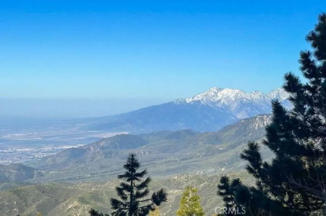 1960 Willow Drive, Running Springs, CA 92382