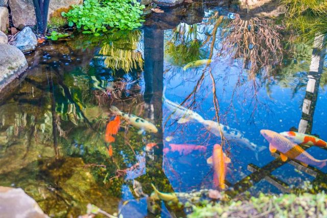 12170 Calle Uvas, Gilroy, CA 95020