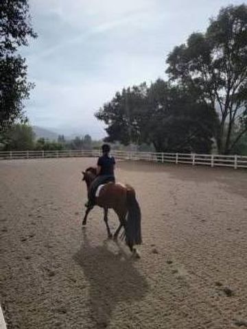 12170 Calle Uvas, Gilroy, CA 95020