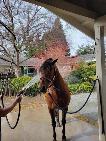 12170 Calle Uvas, Gilroy, CA 95020