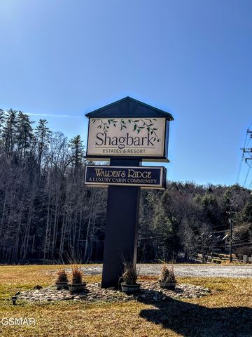 3125 Clearview Road, Sevierville, TN 37862