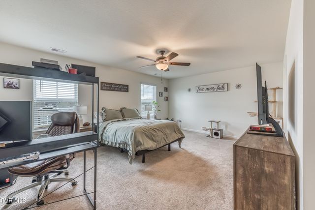90 Thistle Drive, Bluff City, TN 37618