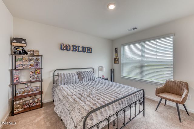 90 Thistle Drive, Bluff City, TN 37618