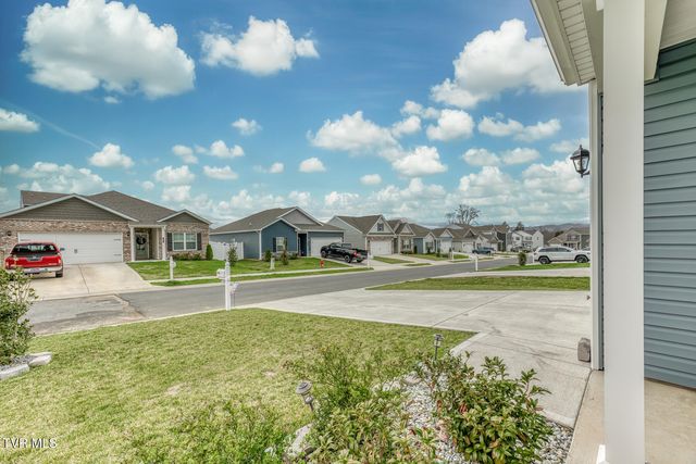 90 Thistle Drive, Bluff City, TN 37618