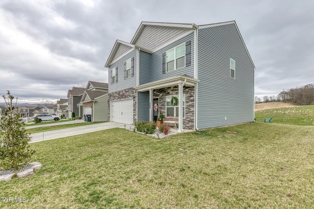 90 Thistle Drive, Bluff City, TN 37618