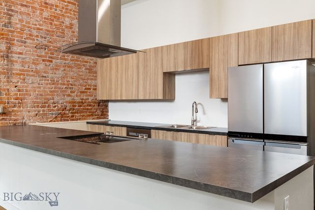 59 E Park Street 203, Butte, MT 59701