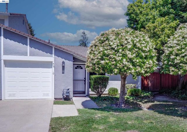 40130 Santa Teresa Cmn, Fremont, CA 94539