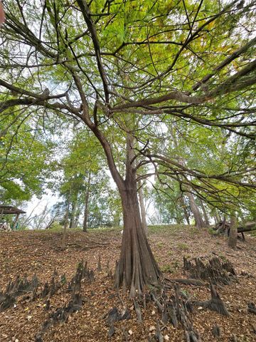 223 County Road 2167b, Cleveland, TX 77327