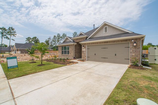 10289 South Goshawk Trail, Conroe, TX 77385