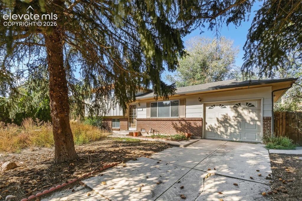 3702 Pearl Drive, Colorado Springs, CO 80918 — photo 4