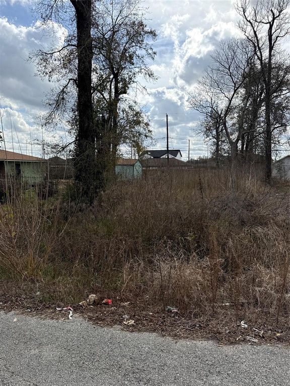 8538 Homewood Lane, Houston, TX 77028