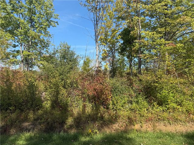 0 Ryther Road, Evans, NY 14006