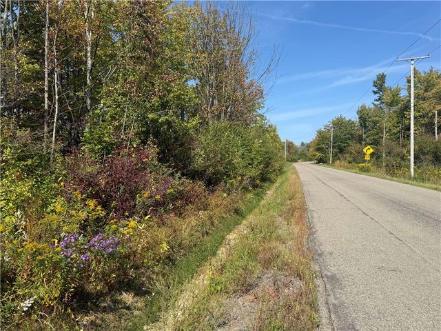 0 Ryther Road, Evans, NY 14006