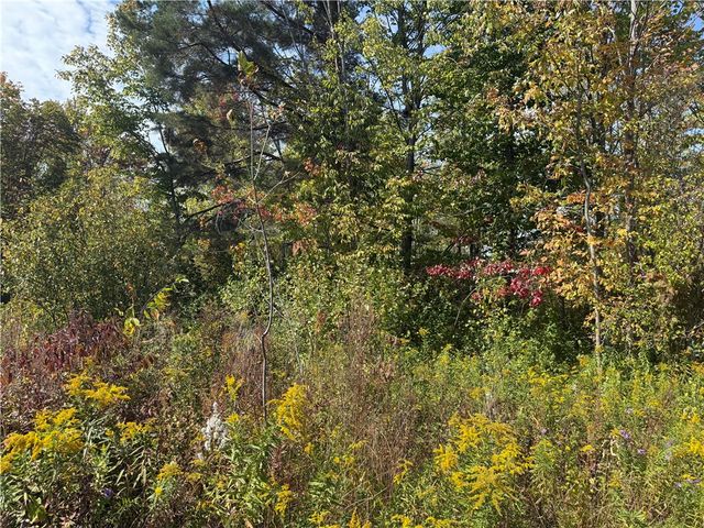 0 Ryther Road, Evans, NY 14006