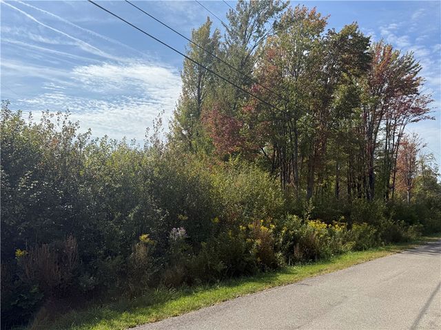 0 Ryther Road, Evans, NY 14006