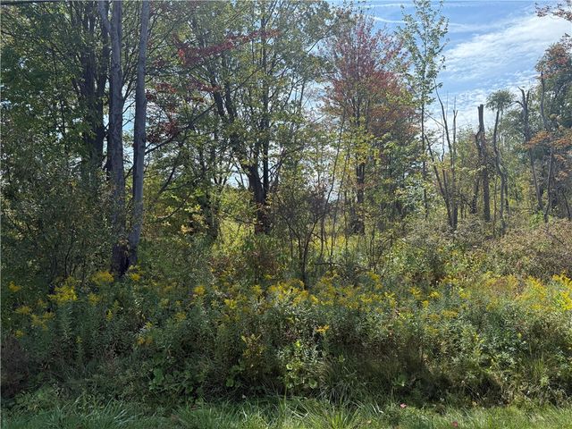 0 Ryther Road, Evans, NY 14006