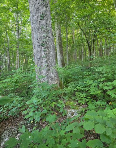 17141 Highway 200, Monticello, KY 42633