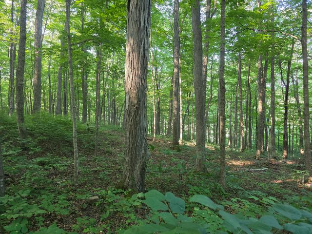 17141 Highway 200, Monticello, KY 42633