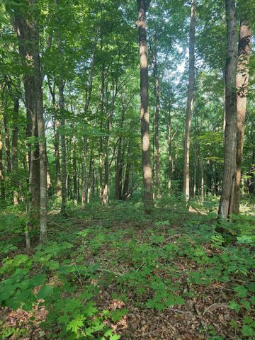 17141 Highway 200, Monticello, KY 42633