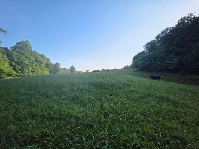 17141 Highway 200, Monticello, KY 42633