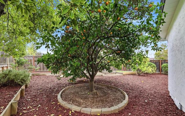 1790 Karameos Court, Sunnyvale, CA 94087