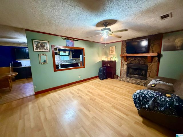 11403 HIGHWAY 63 N, Goodwater, AL 35072