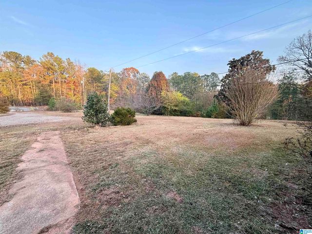 11403 HIGHWAY 63 N, Goodwater, AL 35072