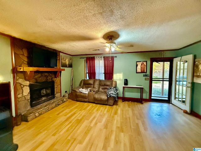 11403 HIGHWAY 63 N, Goodwater, AL 35072