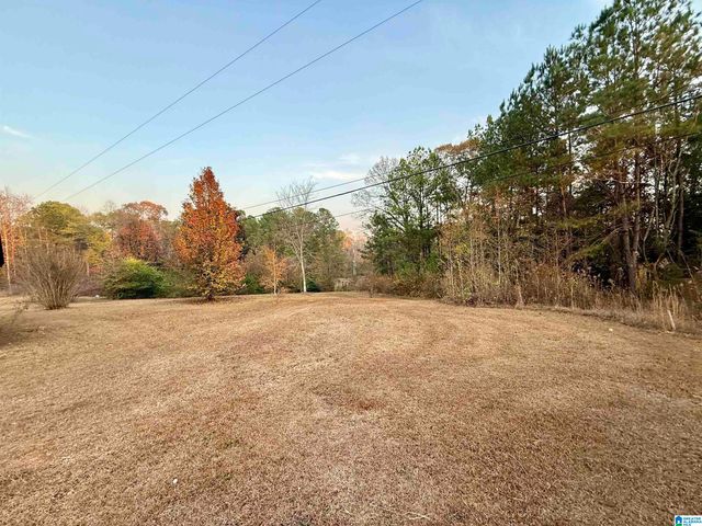 11403 HIGHWAY 63 N, Goodwater, AL 35072