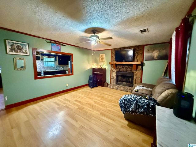 11403 HIGHWAY 63 N, Goodwater, AL 35072