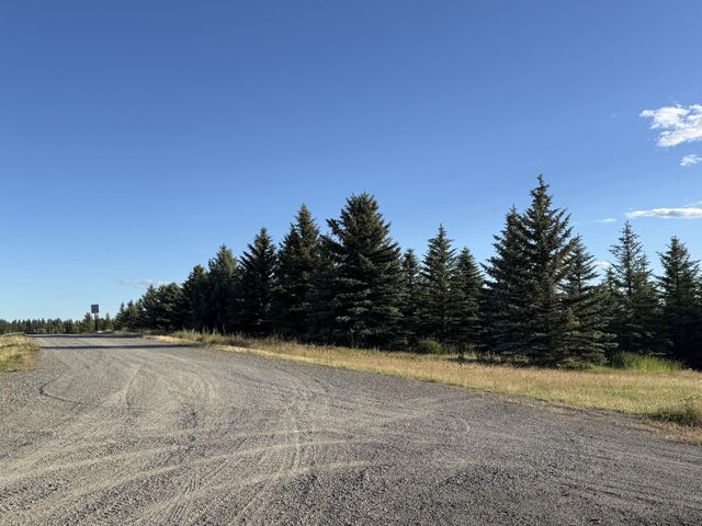 111XX S Spruce Tree Ln, Mica, WA 99023