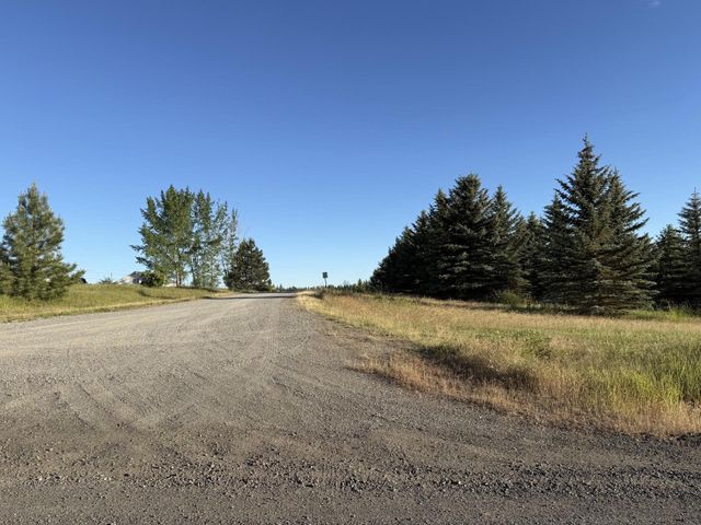 111XX S Spruce Tree Ln, Mica, WA 99023
