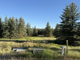111XX S Spruce Tree Ln, Mica, WA 99023