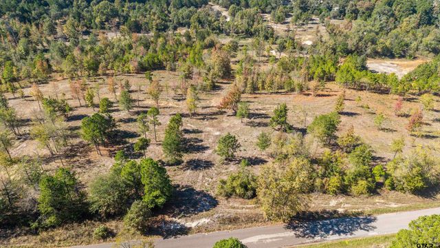 TBD County Road 4112 Lot 4, Lindale, TX 75771