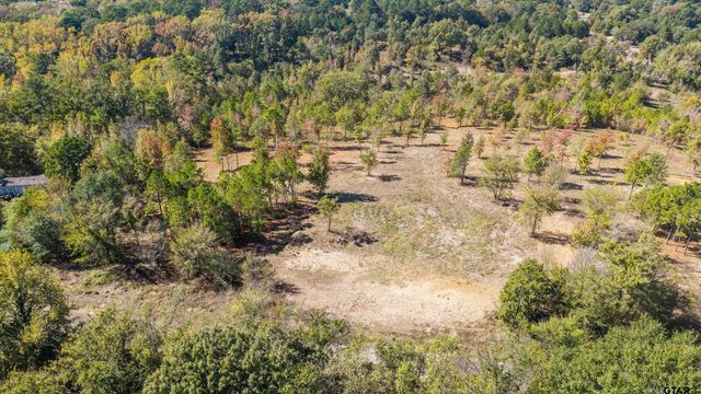TBD County Road 4112 Lot 4, Lindale, TX 75771