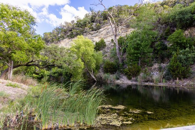 161 Flach Ranch Rd, Comfort, TX 78013