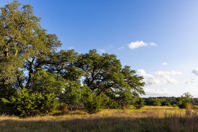 161 Flach Ranch Rd, Comfort, TX 78013
