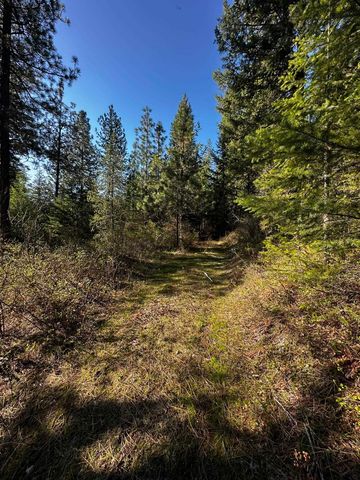 TBD Waldrons Ln, Chattaroy, WA 99009
