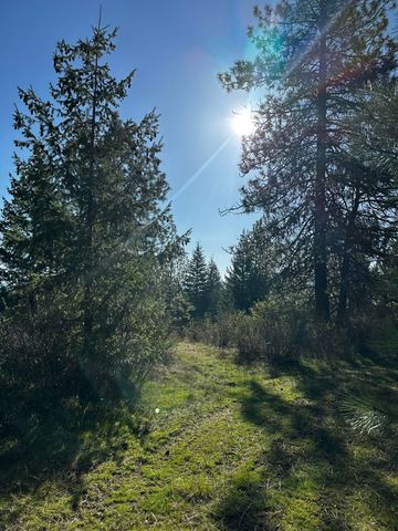 TBD Waldrons Ln, Chattaroy, WA 99009