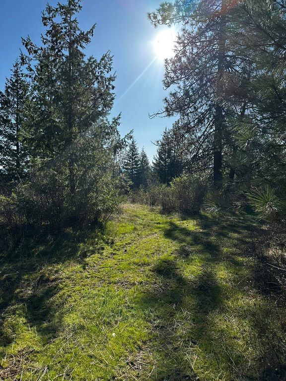 TBD Waldrons Ln, Chattaroy, WA 99009