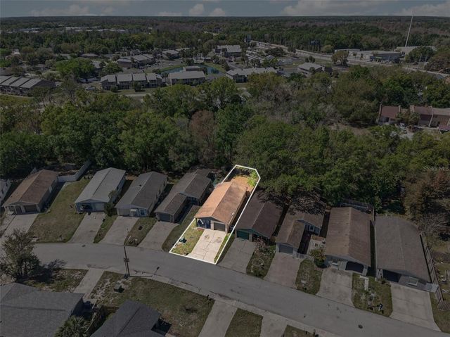 4915 BILLY DIRECT LANE, Lutz, FL 33559