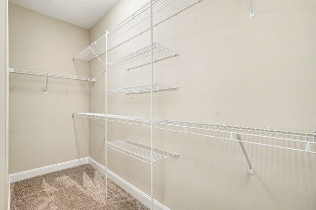 168 Baylee Circle, Galivants Ferry, SC 29544