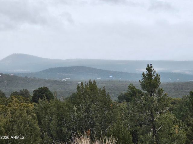 Lot 20 Mountain Pine Road, Vernon, AZ 85940