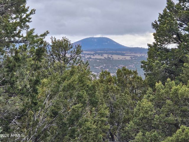 Lot 20 Mountain Pine Road, Vernon, AZ 85940