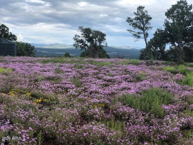 Lot 20 Mountain Pine Road, Vernon, AZ 85940