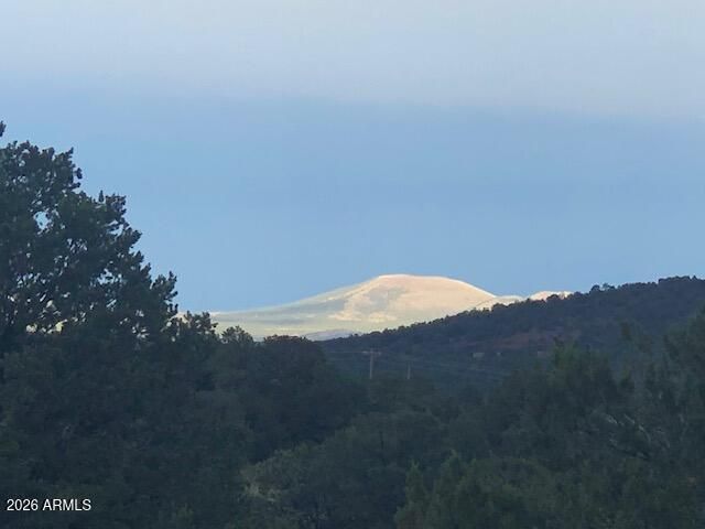 Lot 20 Mountain Pine Road, Vernon, AZ 85940