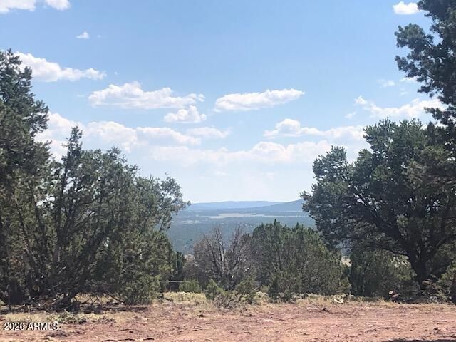 Lot 20 Mountain Pine Road, Vernon, AZ 85940