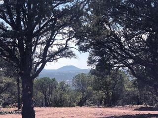 Lot 20 Mountain Pine Road, Vernon, AZ 85940