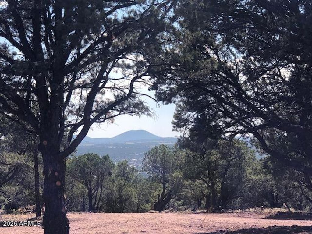 Lot 20 Mountain Pine Road, Vernon, AZ 85940