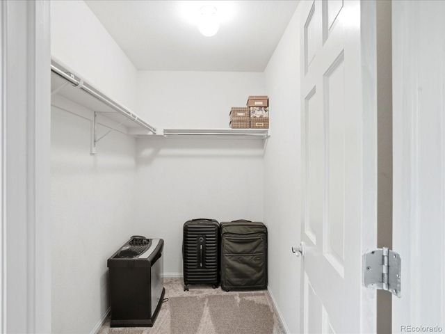 1885 Lodgepole Drive, Erie, CO 80516
